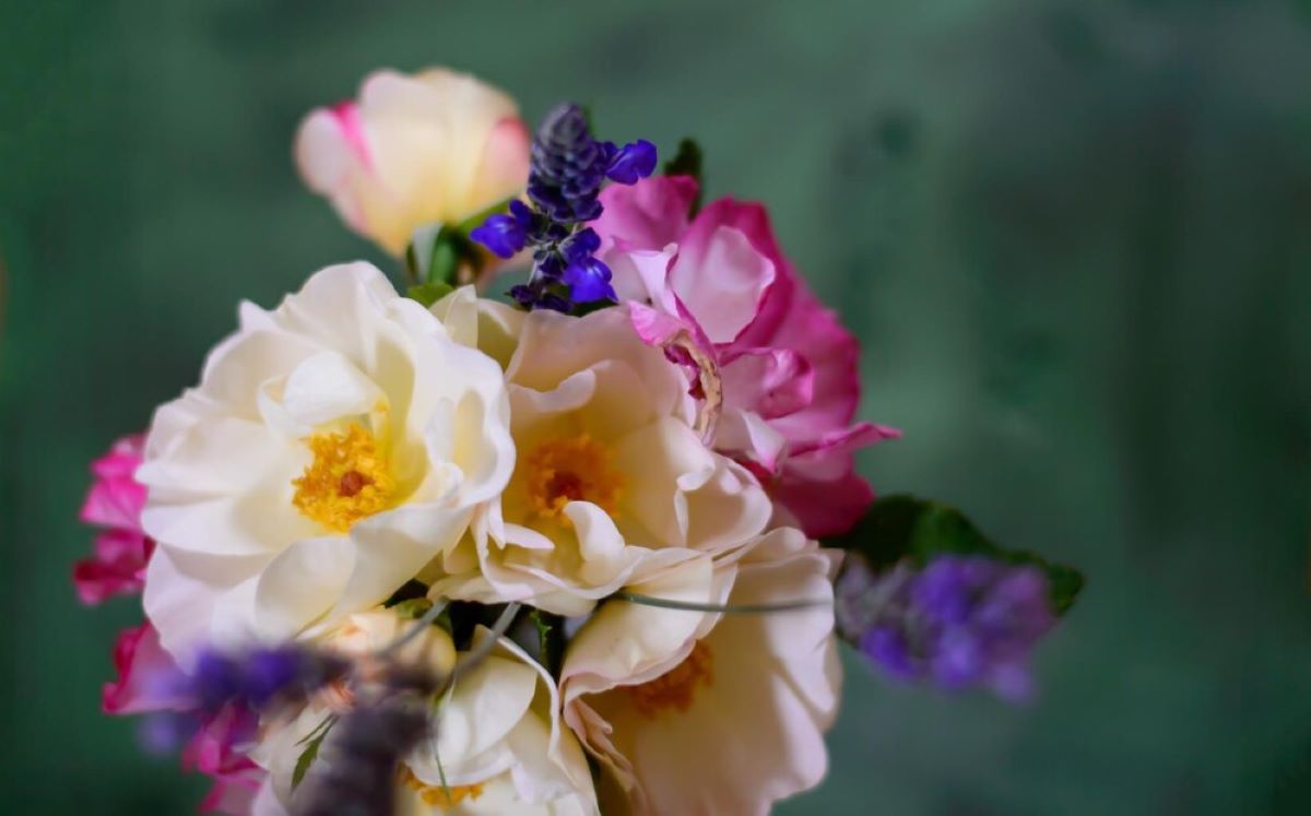 Flower Delivery Chatswood When and What to Send