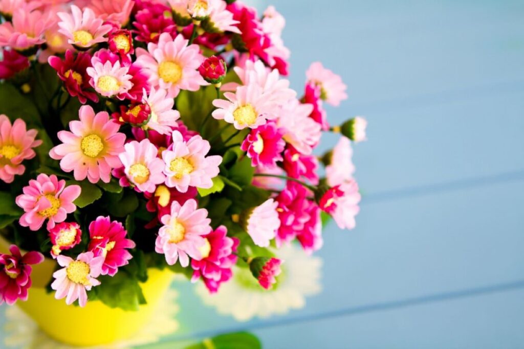 flower delivery chatswood
