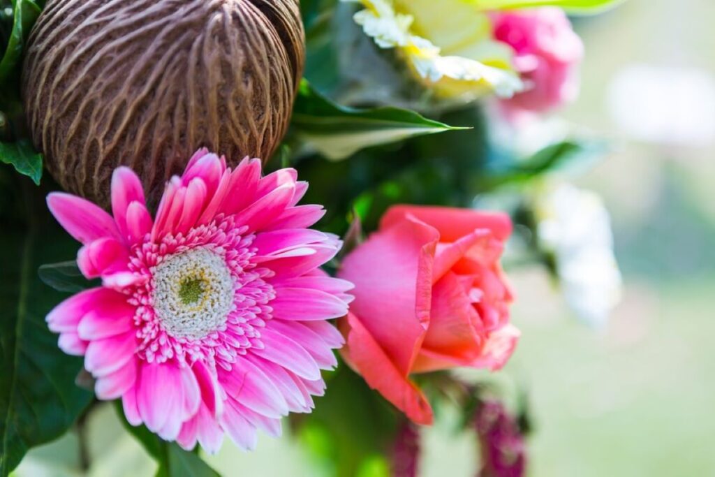 Lane Cove Flowers