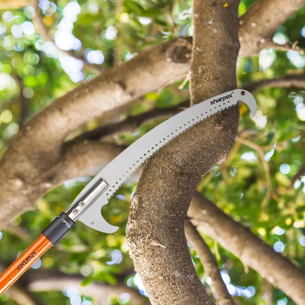 Tree Branch Cutter