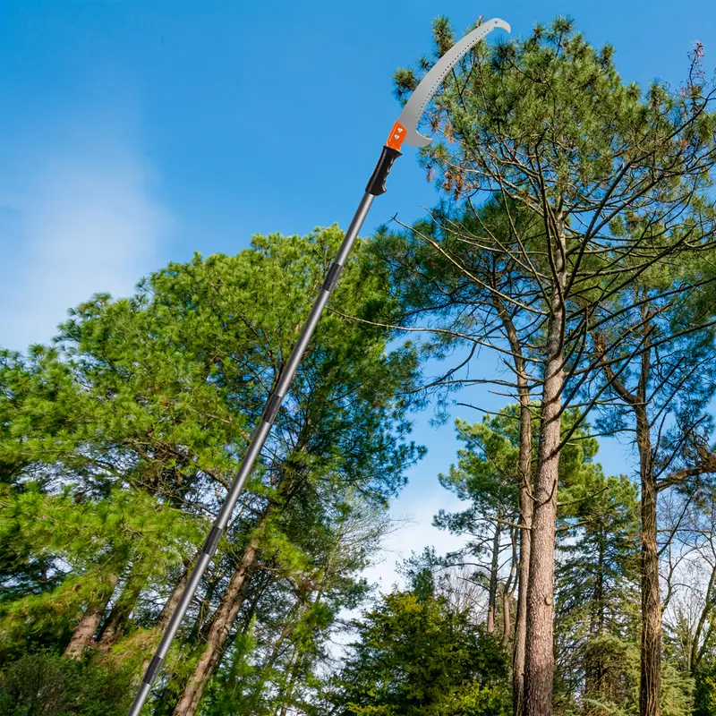 When Do You Need a Tree Branch Cutter Service?