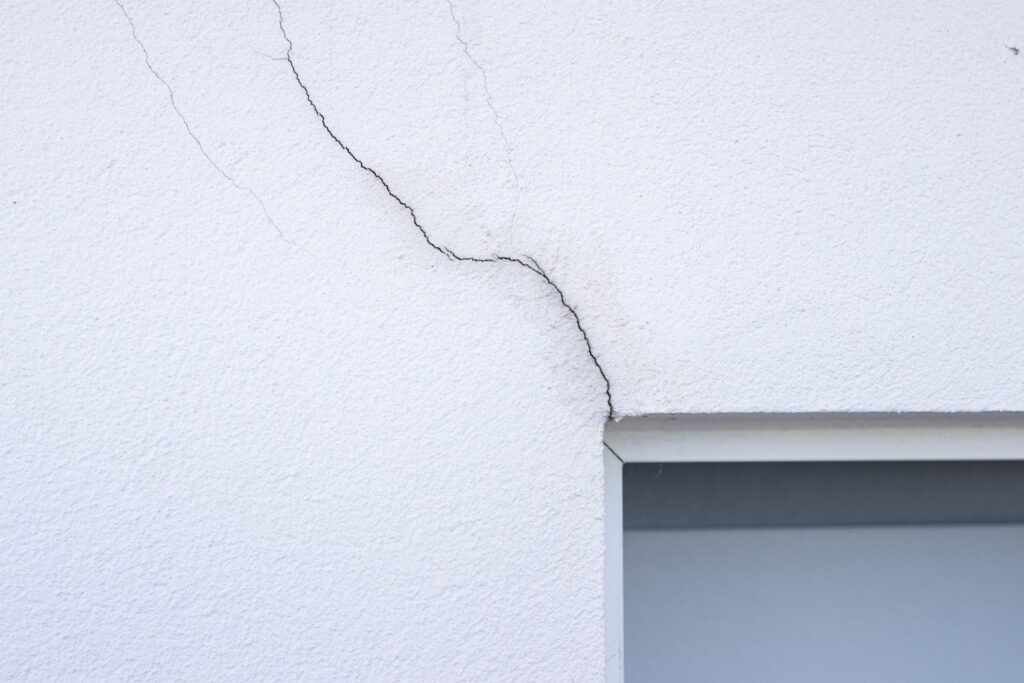 Top 7 Things Property Buyers Should Check Before Purchasing, Including Rodent Removal Sydney


