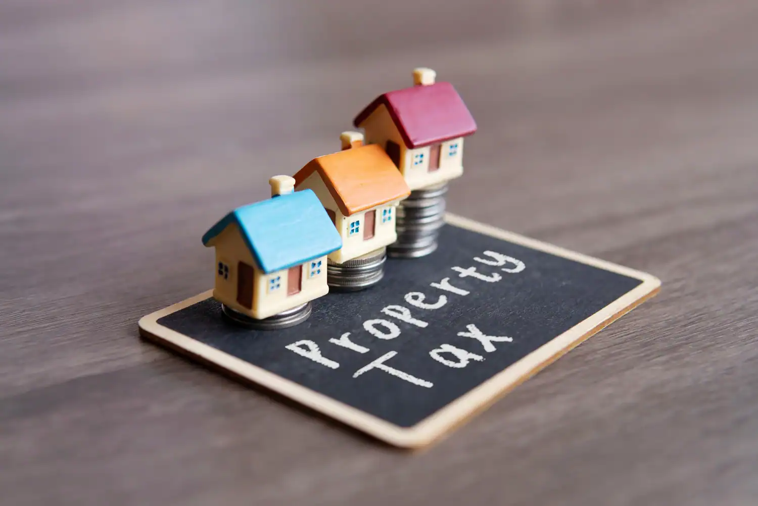 Top 7 Things Property Buyers Should Check Before Purchasing, Including Rodent Removal Sydney